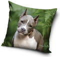Kutyás Pit Bull Terrier párnahuzat 40x40 cm