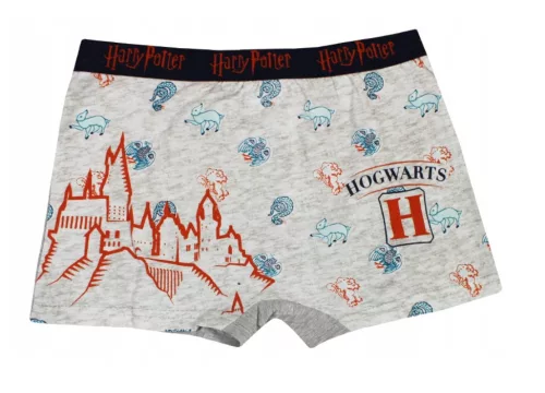 Harry Potter Castle gyerek boxeralsó 2 darab/csomag 8 - 10 év / 128 - 140 cm