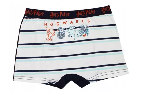 Harry Potter Castle gyerek boxeralsó 2 darab/csomag 8 - 10 év / 128 - 140 cm